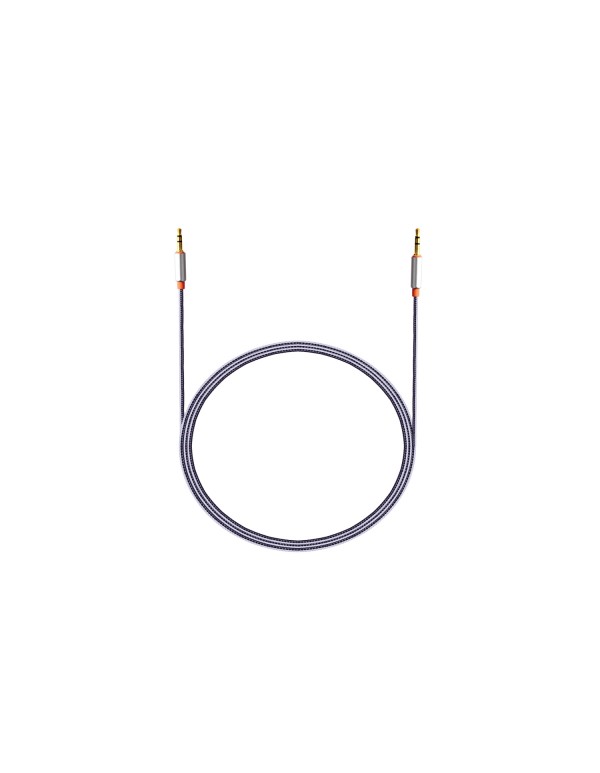 AUX Cable