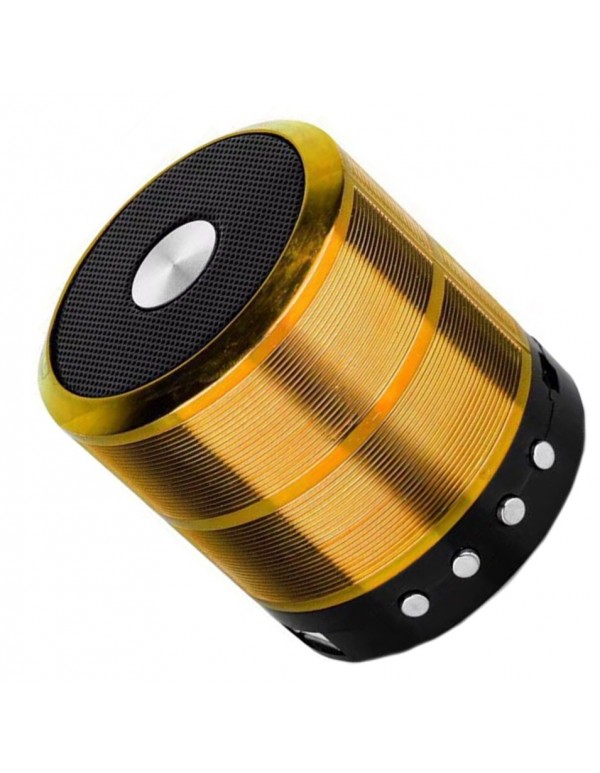 Buy WS-887 Mini Bluetooth Wireless Speaker Online